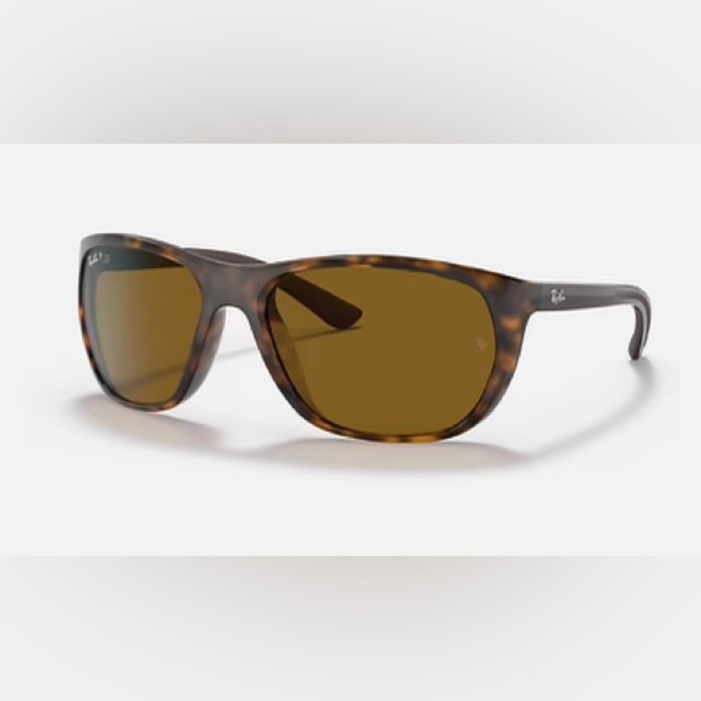 Ray Ban RB4307 Polarized Sunglasses